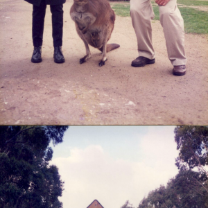 In viaggio tra i canguri con Stefano Pallanti (Australia, Congresso mondiale di psicofarmacologia, CINP, 23-27  giugno 1996; Australia)